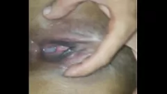 Redare Păsăria strânsă a Latinei devine creamentă pe marginea patului